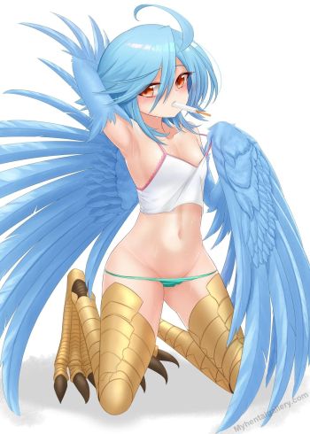 Harpy Service